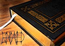 Encased : Prophecies