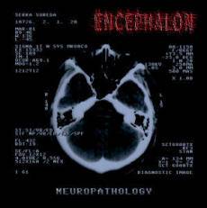 Encephalon : Neuropathology