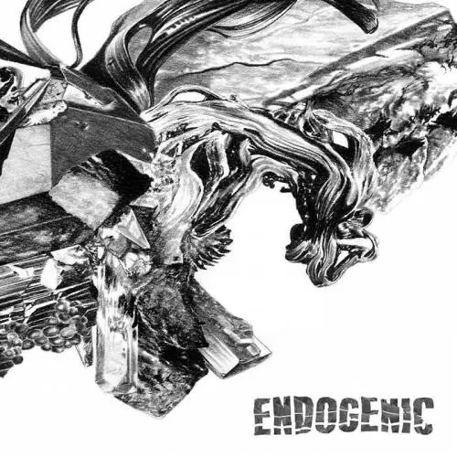 Endogenic : Fireball
