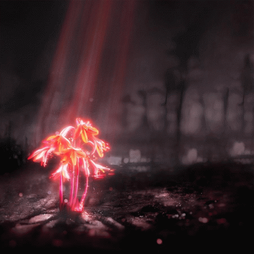 Enter Shikari : A Kiss for the Whole World