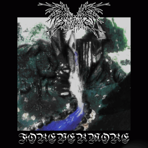 Erzahle : Forevermore