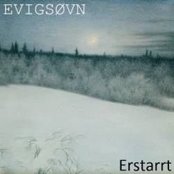 Evigsovn : Erstarrt