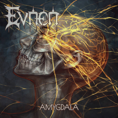 Evnen : Amygdala