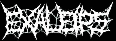 logo Exaleips logo Exaleips