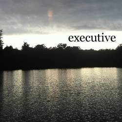 Executive : Melodicore