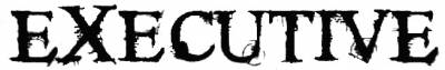 logo Executive
