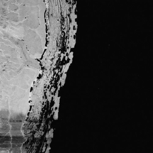 Expurgatory : Irrectitude Expurgatory : Irrectitude