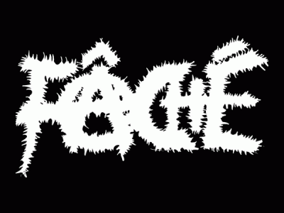logo Fache