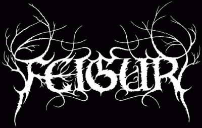 logo Feigur logo Feigur