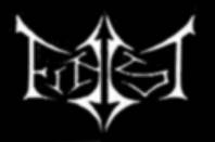 logo Finist logo Finist