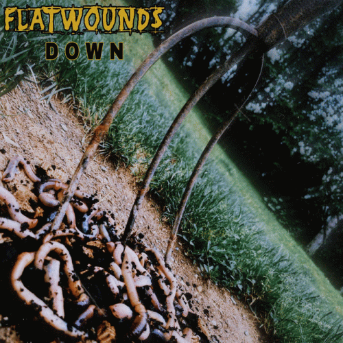Flatwounds : Down