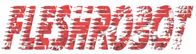 logo Fleshrobot