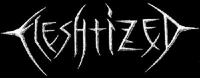 logo Fleshtized