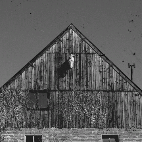 Fluisteraars : Relaas