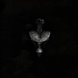 Fragment (FRA) : Bittersweet