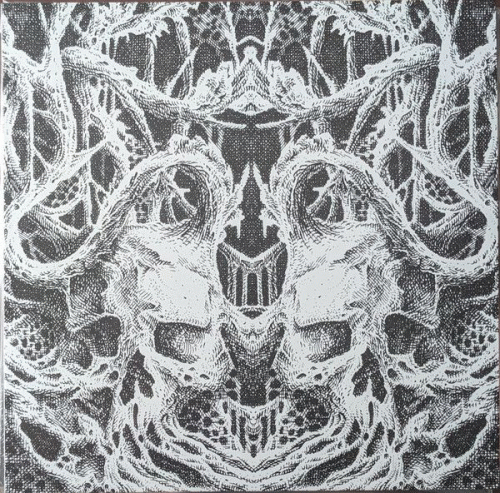 Frogskin : Findoomland