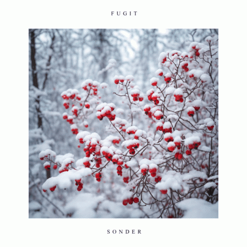 Fugit : Sonder