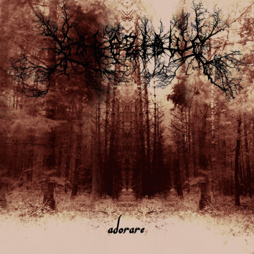 Adorare