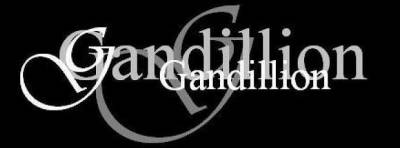 logo Gandillion logo Gandillion