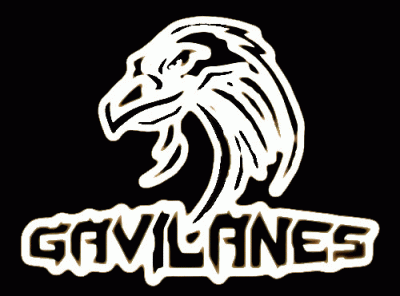logo Gavilanes