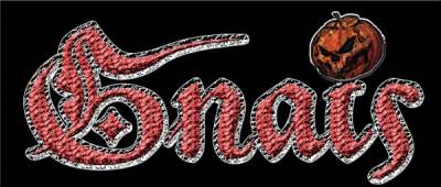 logo Gnais logo Gnais