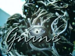 Gnine : Gnine Gnine : Gnine