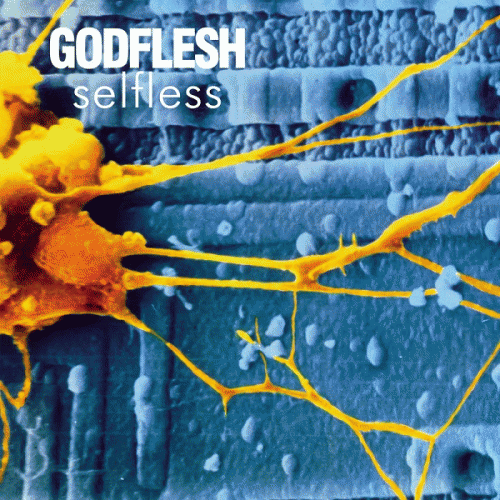 Godflesh : Selfless