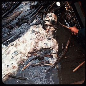 Graveolence : Stripped