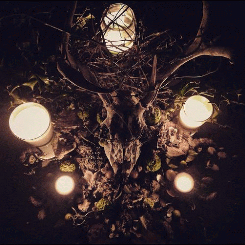 Greywoods : Hellgazer