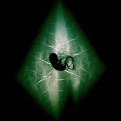 Grist (AUS) : Awakened Grist (AUS) : Awakened