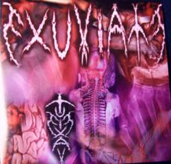 Exuviate