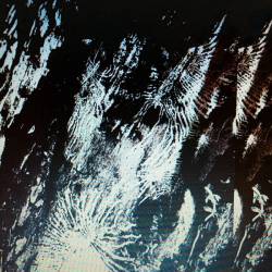 Groundfeeder : Bleeding.