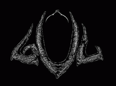 logo Gûl (MEX) logo Gûl (MEX)
