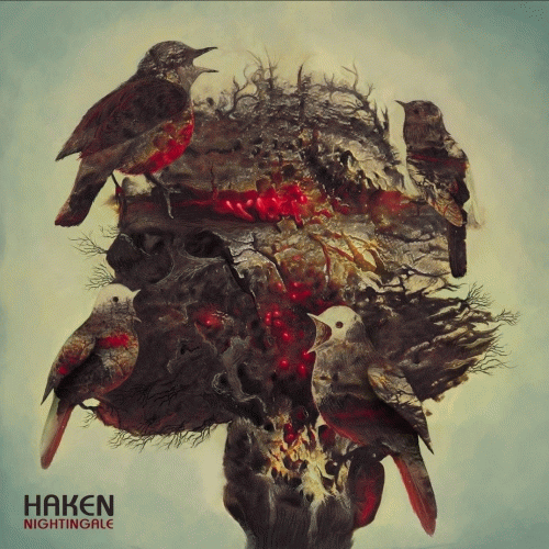 Haken : Nightingale