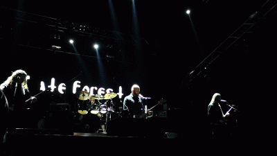 Hate Forest - discographie, line-up, biographie, interviews, photos