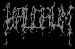 logo Havorum logo Havorum