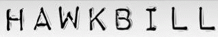 logo Hawkbill