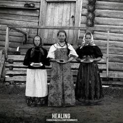 Healing : I Should Have Killed My Roommates