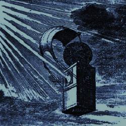 Hellébore : Hellébore