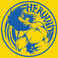 logo Heruvim