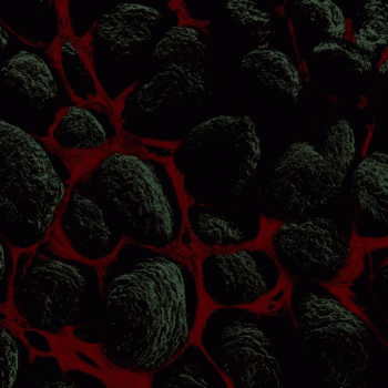 Hexeth : Multiverse Hexeth : Multiverse