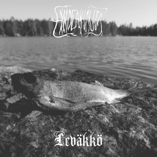 Hiidenhauta : Leväkkö