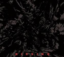 Hissing : Hissing