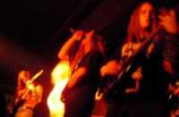 interview Hyadningar