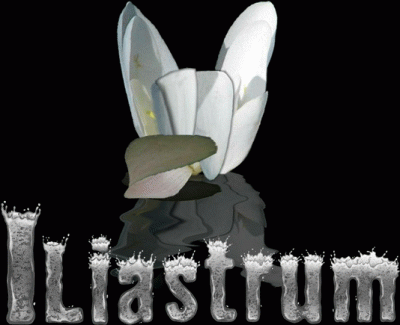 logo Iliastrum