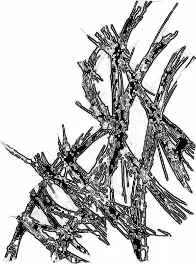 logo Imonfire logo Imonfire