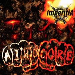Imperitia : Aihdcore