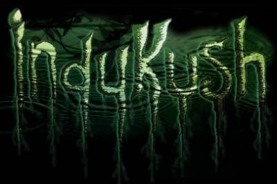 logo Indykush