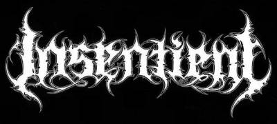 logo Insentient logo Insentient