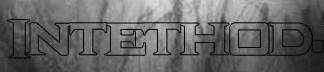 logo Intethod